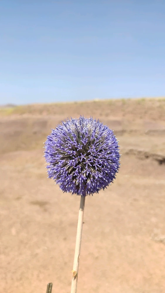 GIF uploaded by Hawrey