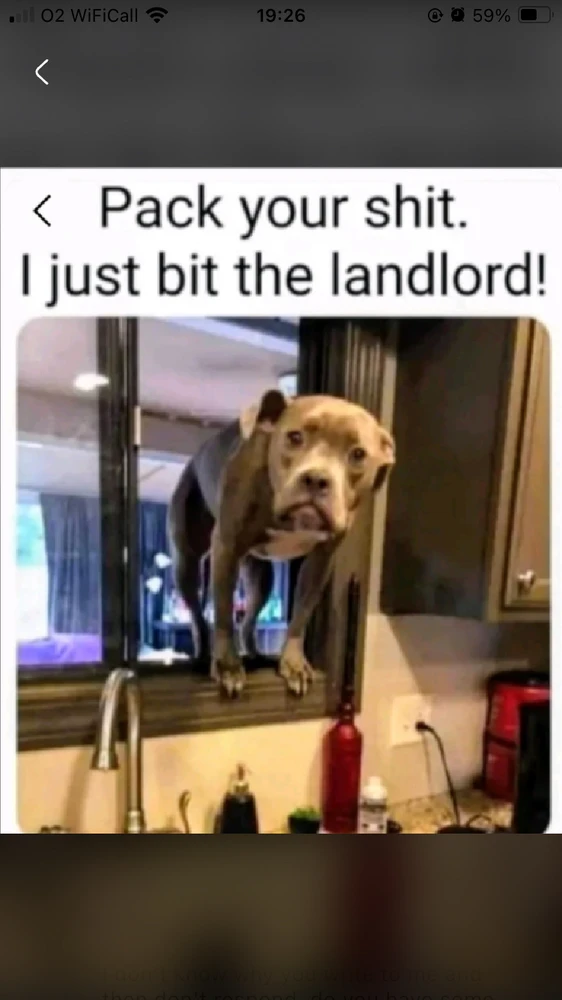 GIF uploaded by Leon Allen