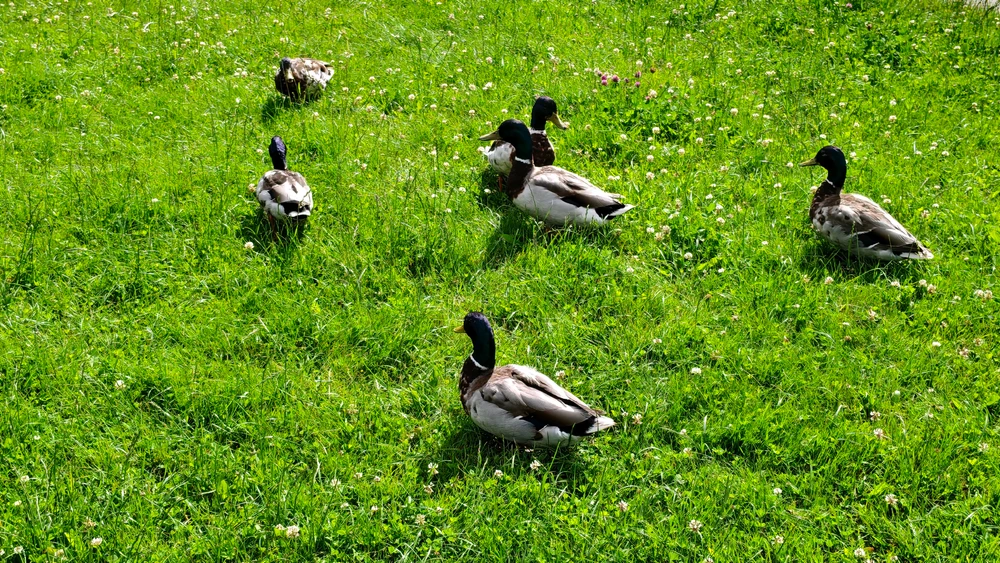 GIF uploaded by MantasChan