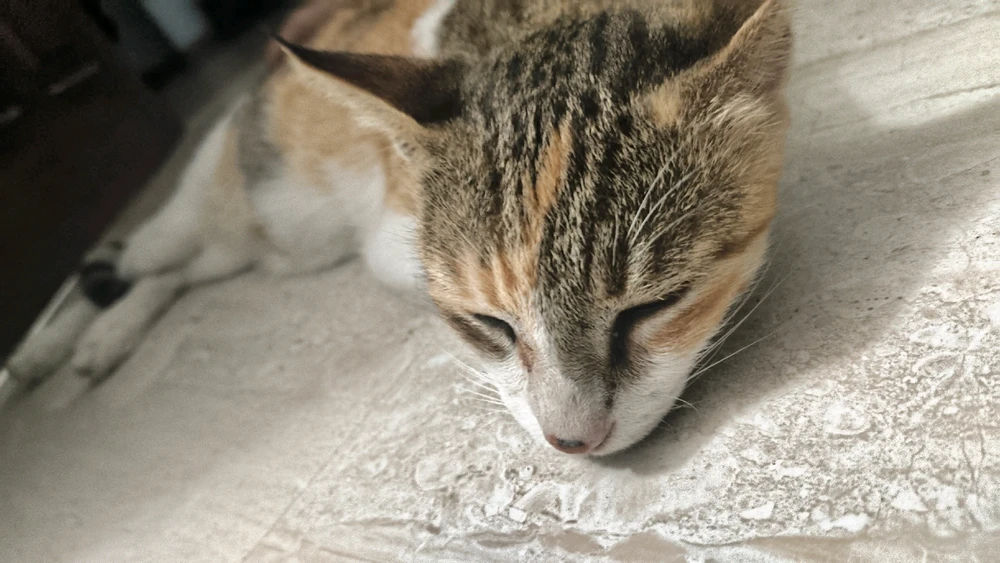 GIF uploaded by Aditii