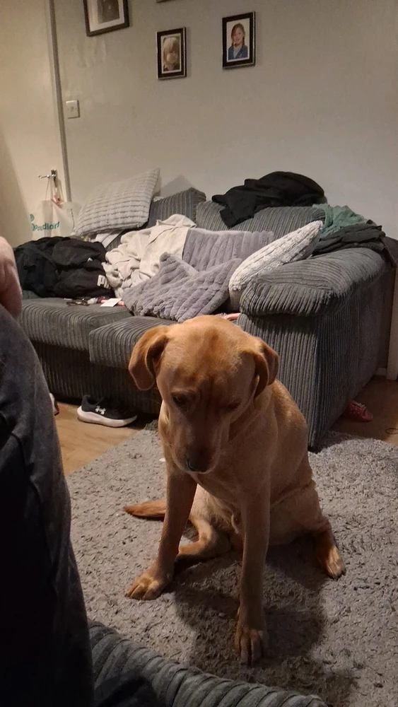 GIF uploaded by Kallie