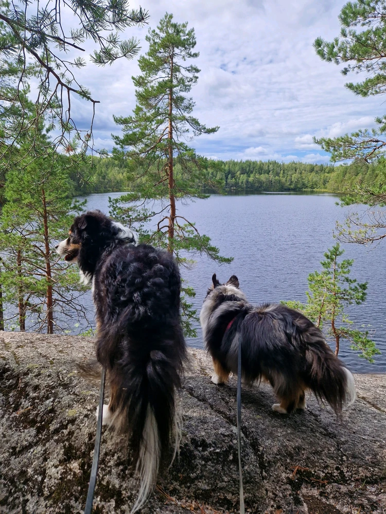 GIF uploaded by Aurora