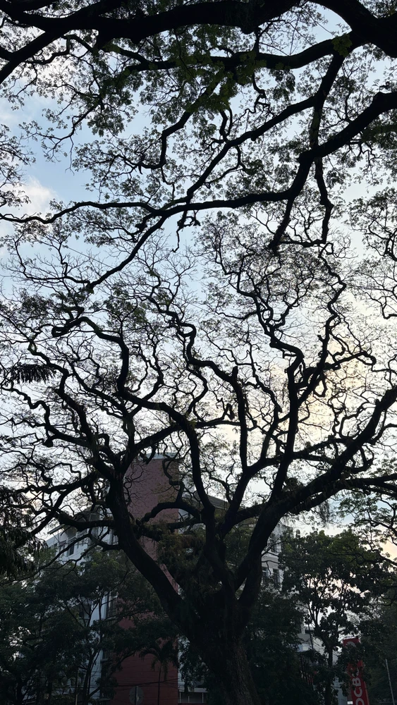 GIF hochgeladen von Luna