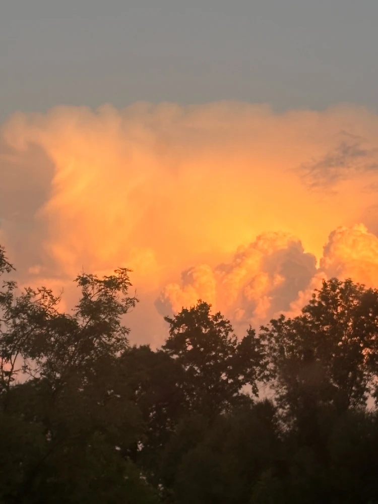 GIF uploaded by ℳℴ𝓇𝓃𝒾𝓃ℊ𝓈𝓉𝒶𝓇