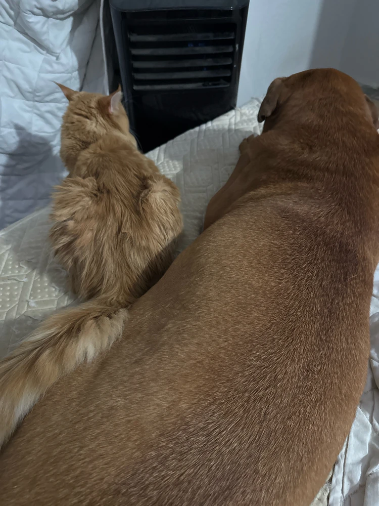 GIF uploaded by Bence