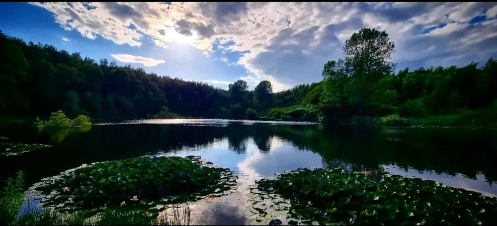 Imagine încărcată de David