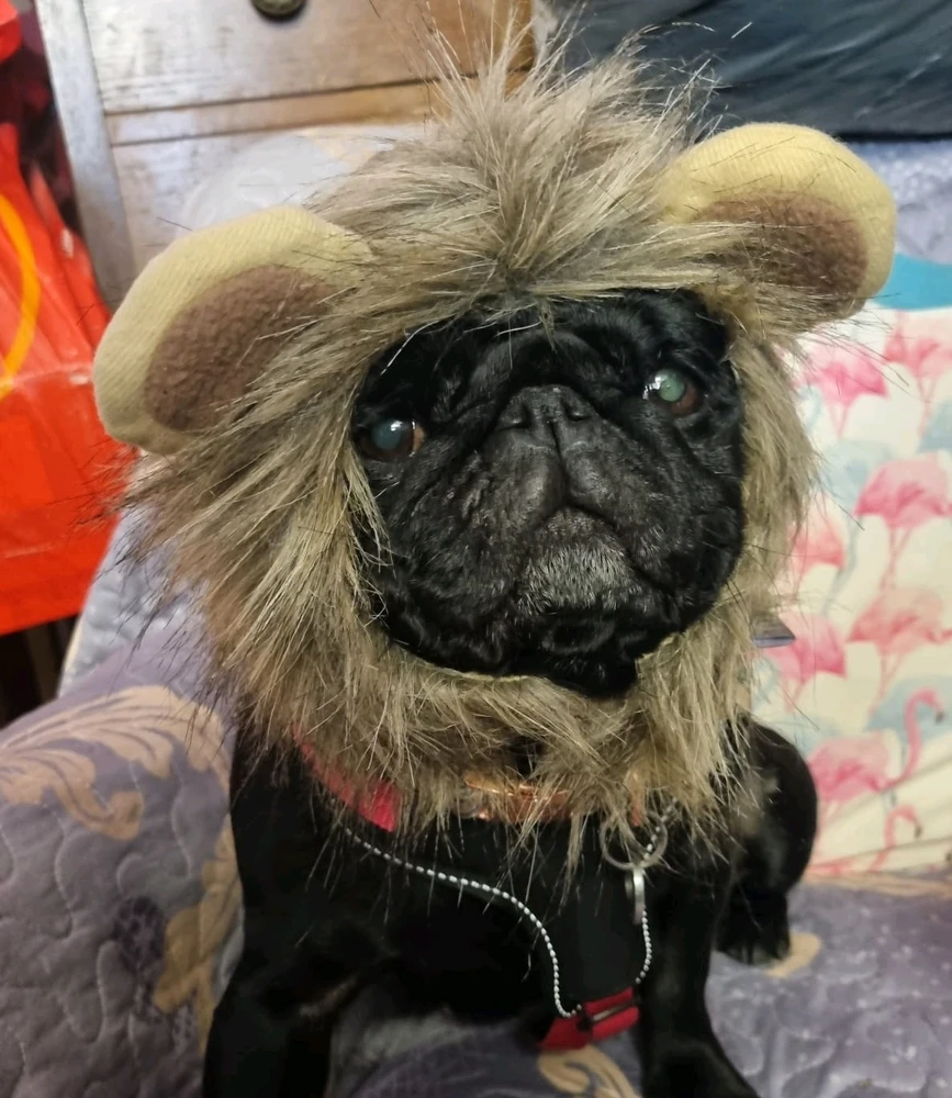 GIF uploaded by Luke