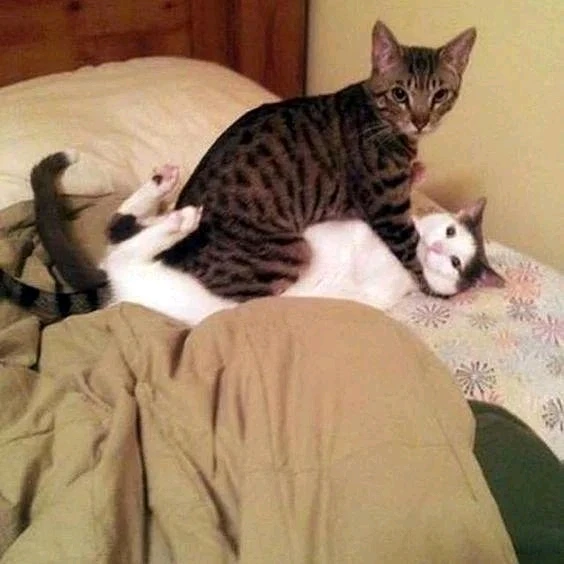 Tomáš님이 올린 사진
