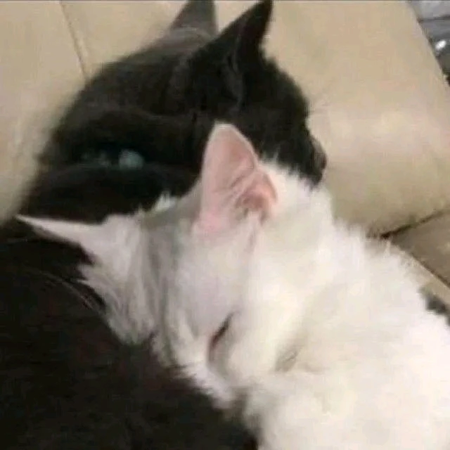 Tomáš님이 올린 사진
