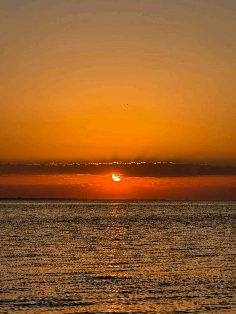 GIF uploaded by Svetlana