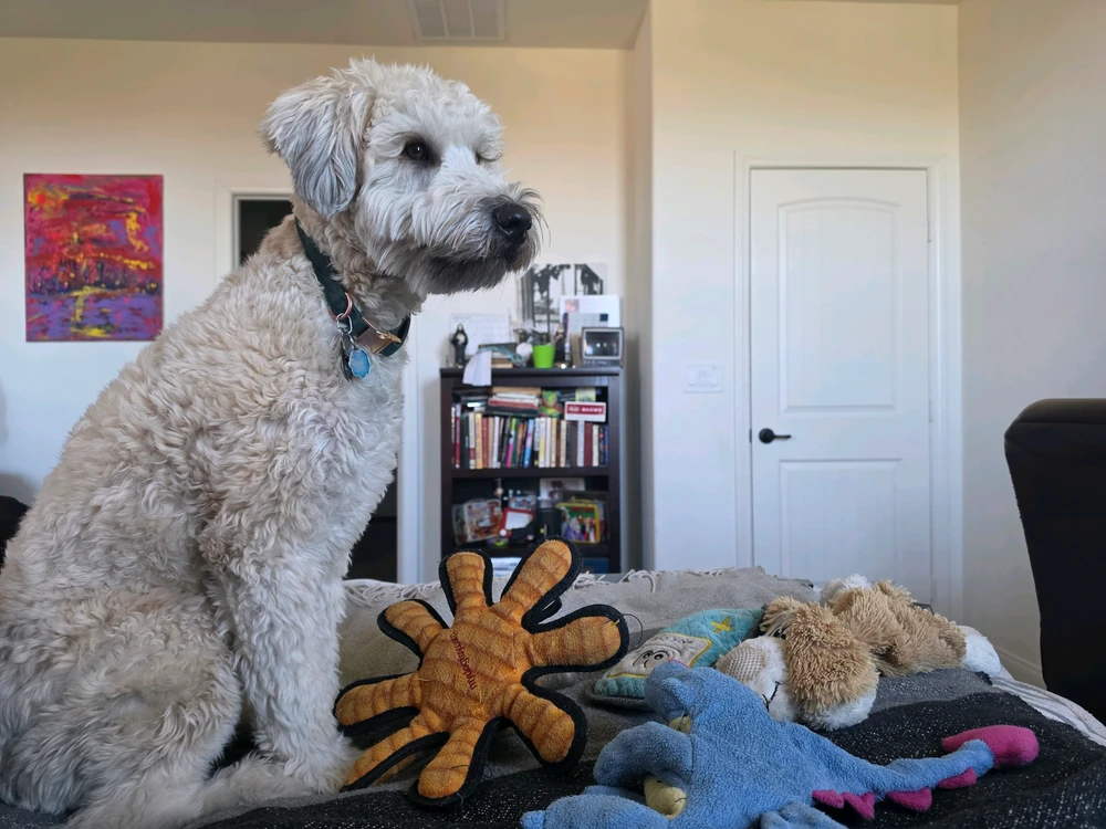 GIF uploaded by AJ