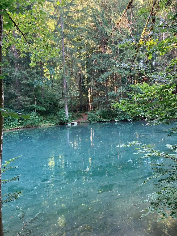 GIF uploaded by β³β΄πππΎπβπππΆπ