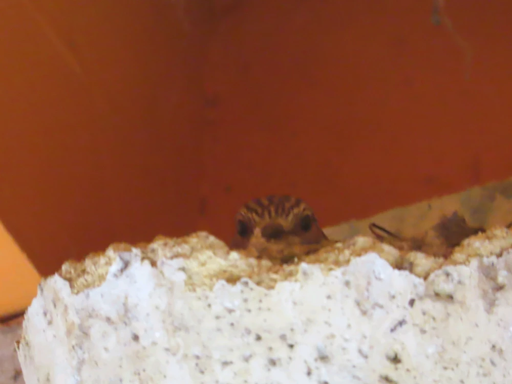 GIF uploaded by Mathew