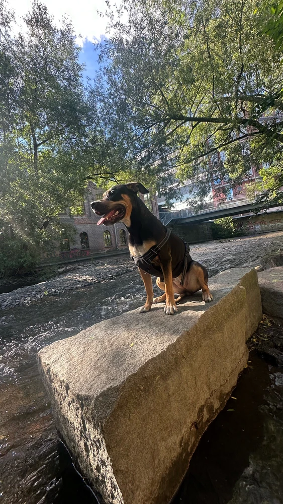 Image uploaded by Kristoffer