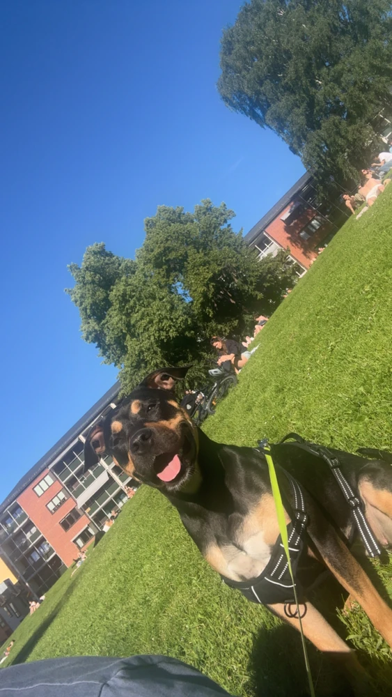Image uploaded by Kristoffer