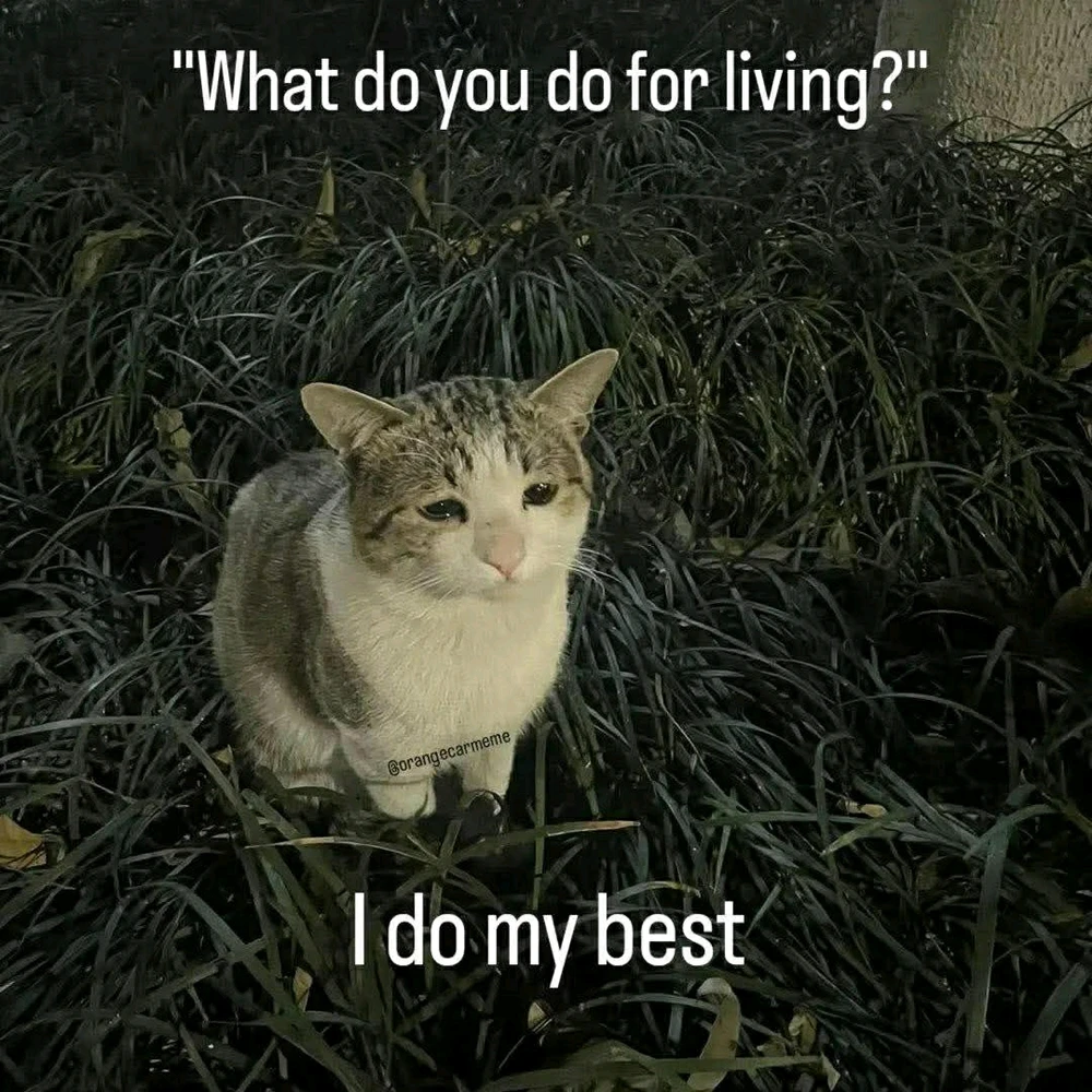 GIF uploaded by SunloverKitty