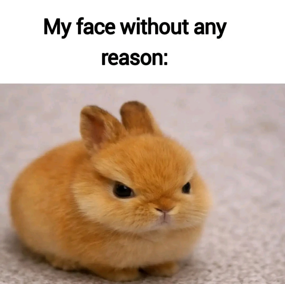 GIF uploaded by Idta