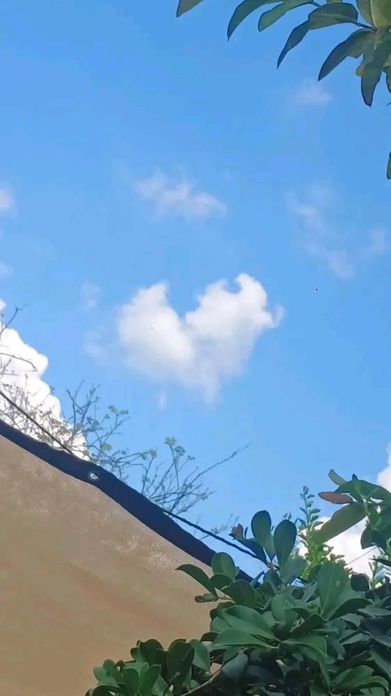 GIF opgelaai deur ❤ Sophia aka Mango Mami ❤️