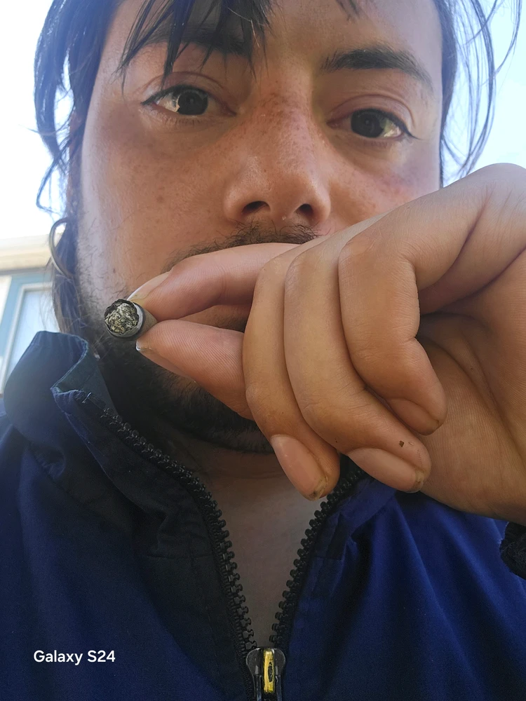 GIF diunggah ku Mrmunchies