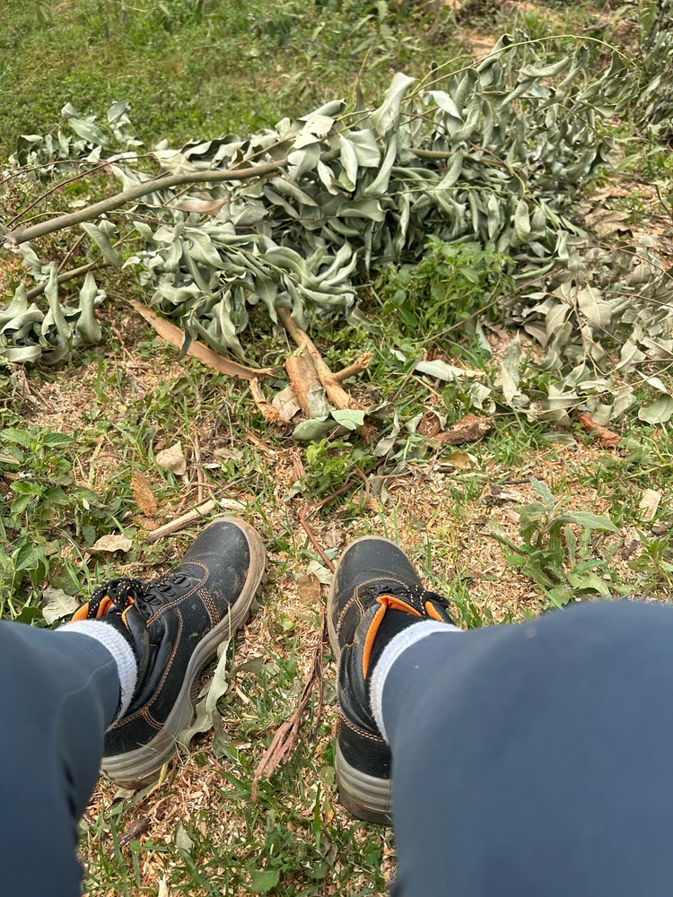 Image uploaded by Winifred