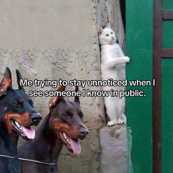 GIF uploaded by Benjiggity