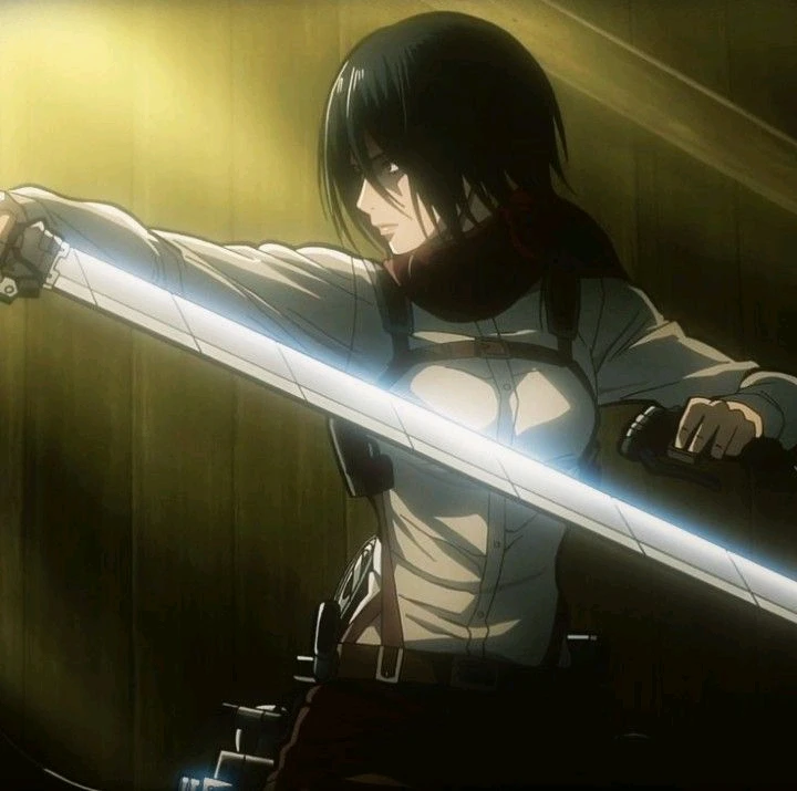 Mikasa