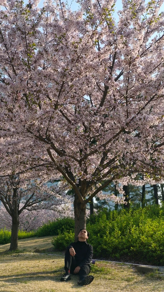 GIF uploaded by Tyto