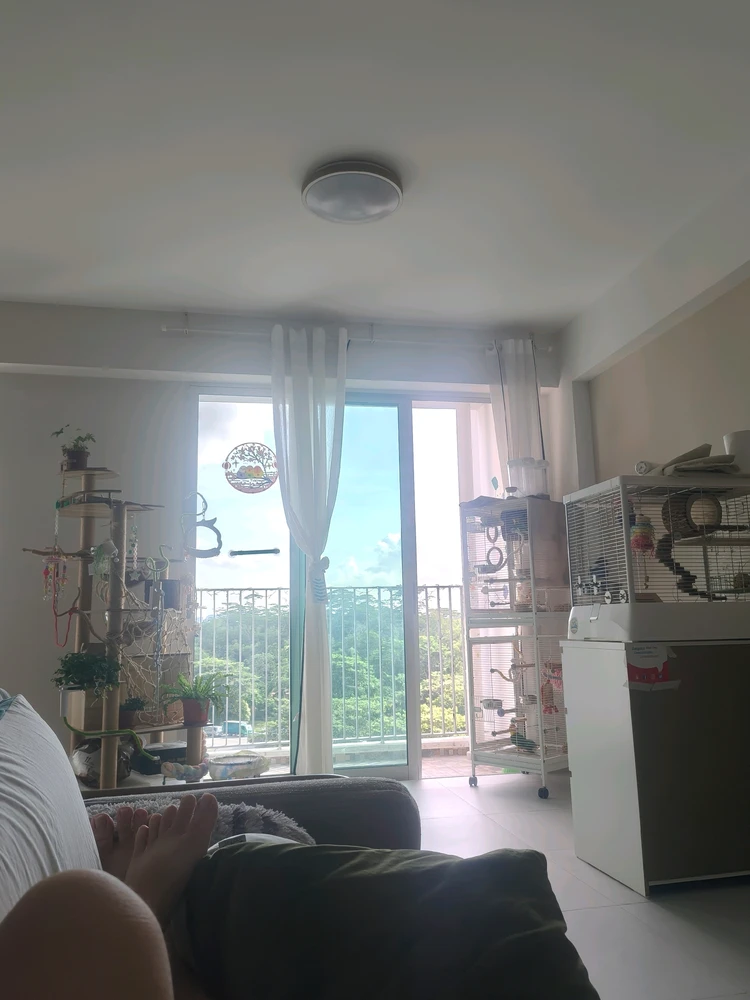GIF diunggah ku JSL