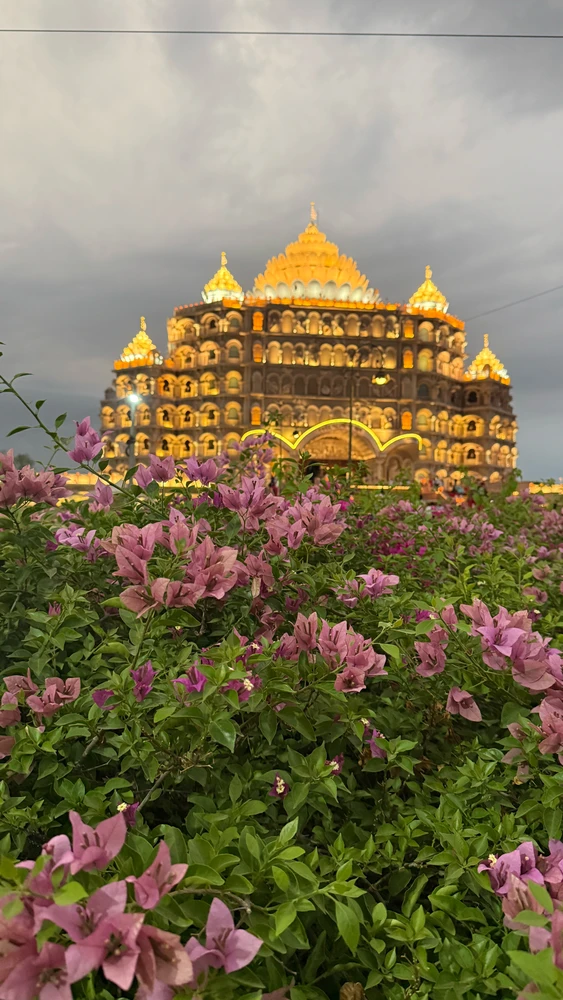 تصویر آپلود شده توسط Sasmit Kumar