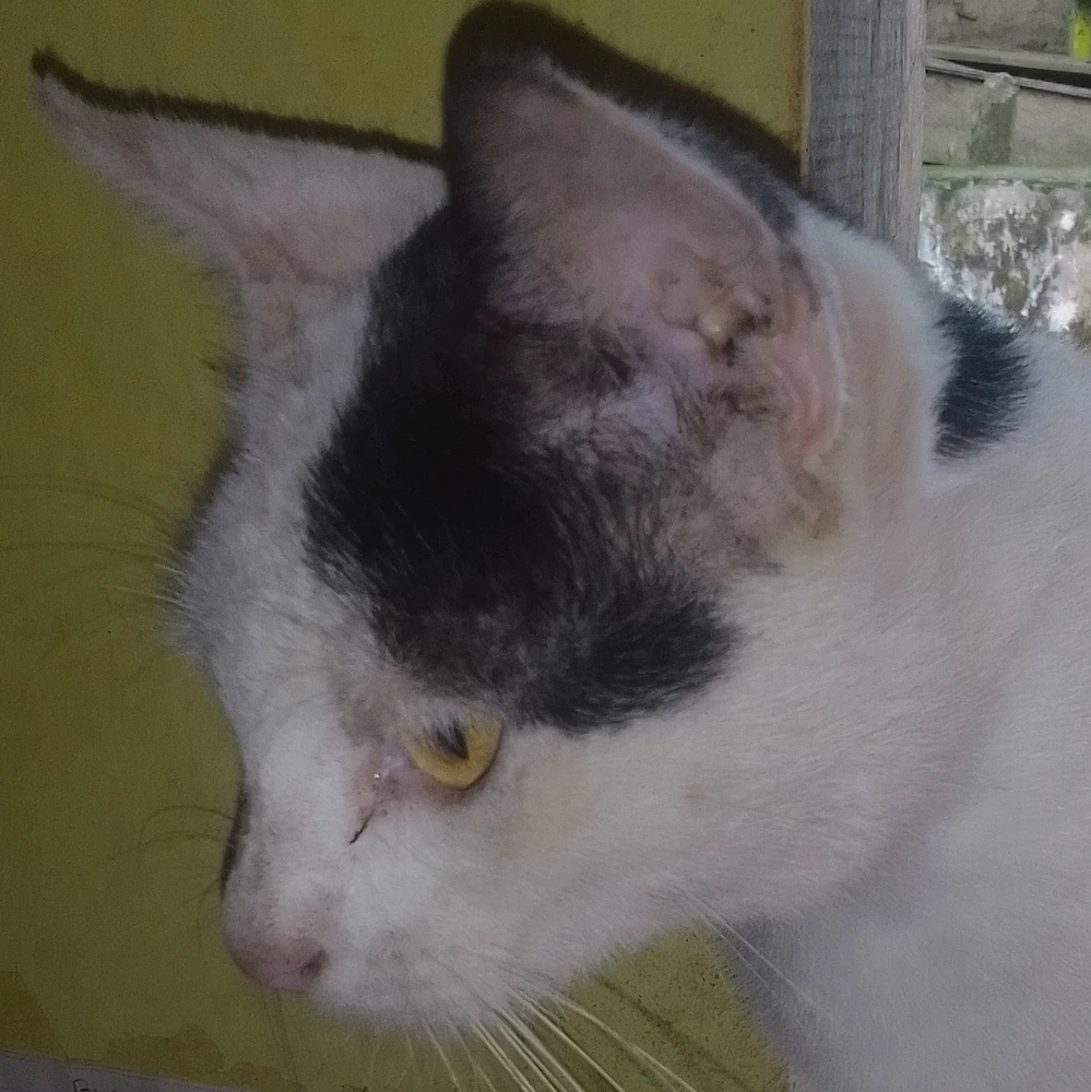 He hasn't showered yet so ignore his dirty face, I can't control him from wandering around outside