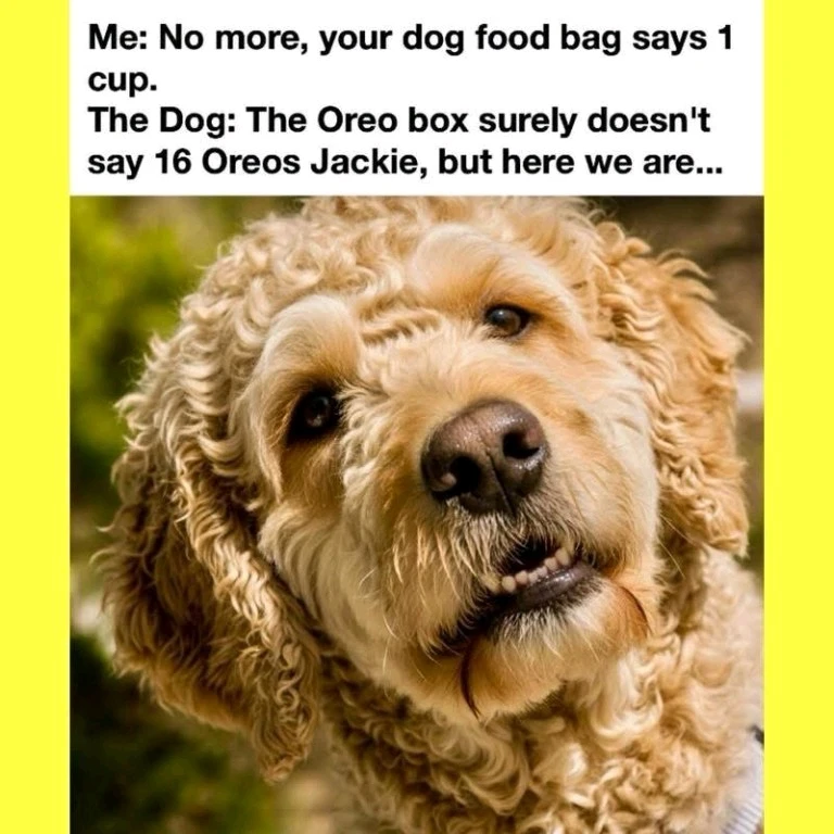 GIF uploaded by Benjiggity