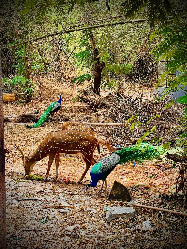 GIF uploaded by Navvjit