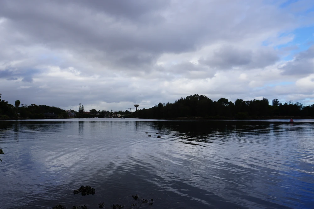 Image uploaded by Suhs