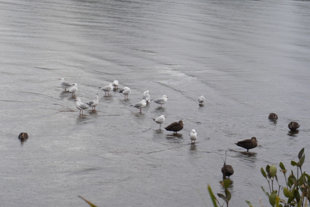 Image uploaded by Suhs
