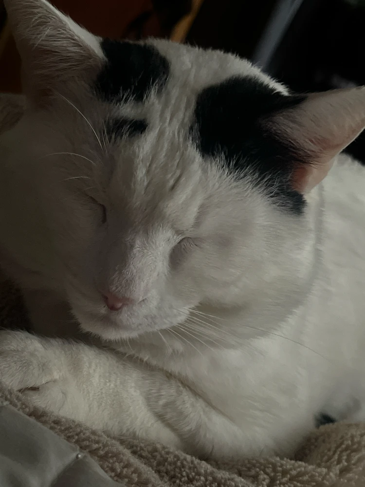 Luisがアップロードした画像