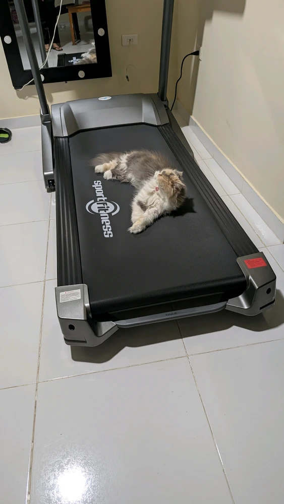 GIF uploaded by Ale