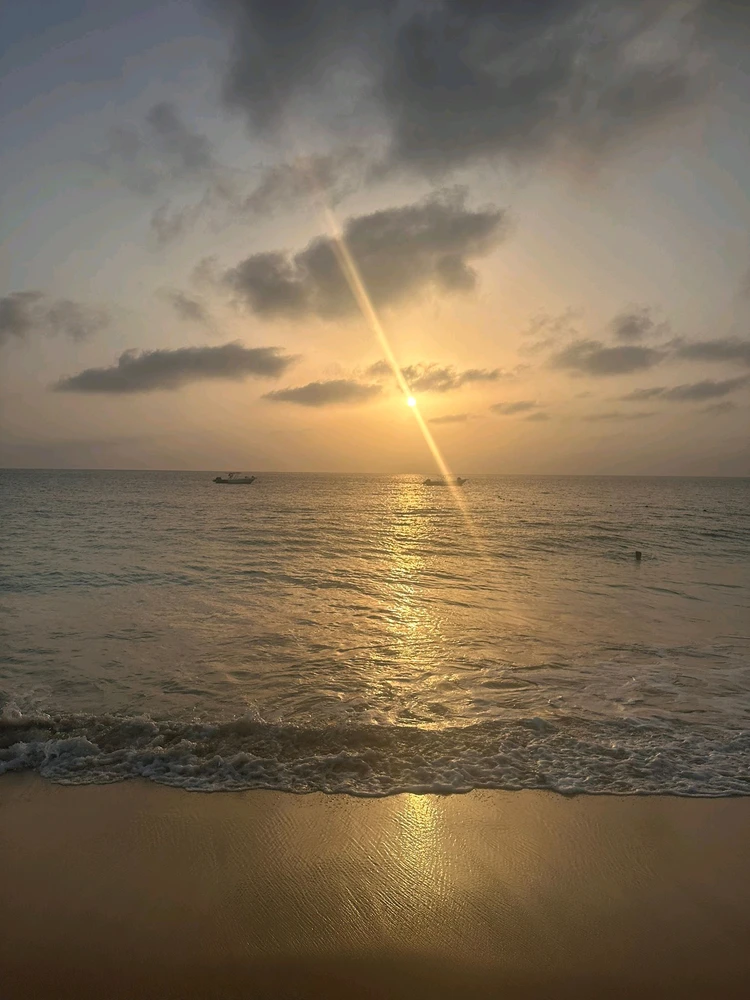 GIF آپلود شده توسط Lorna