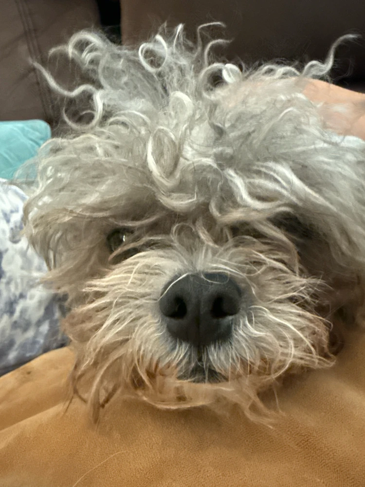 GIF uploaded by Joseph