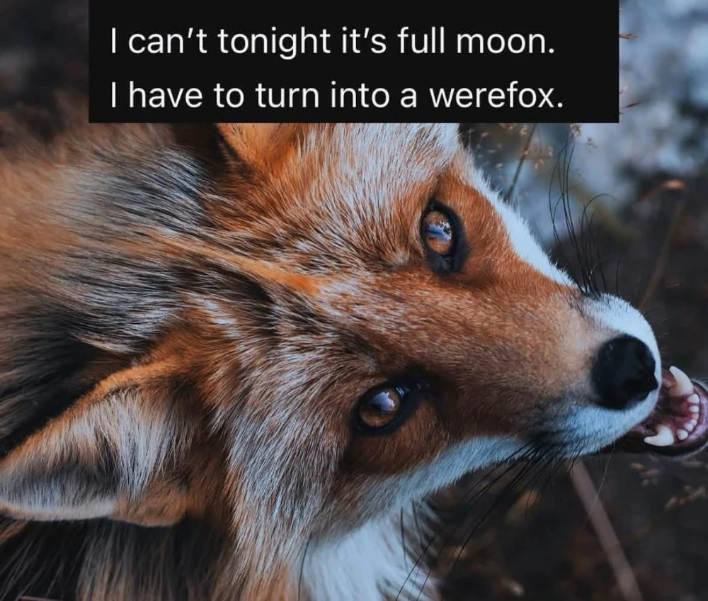 GIF uploaded by ℳℴ𝓇𝓃𝒾𝓃ℊ𝓈𝓉𝒶𝓇