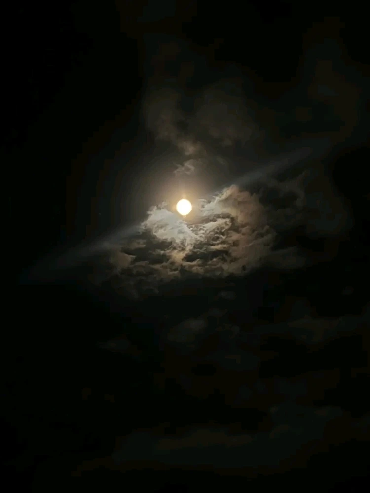 GIF uploaded by ❤ Sophia aka Mango Mami ❤️