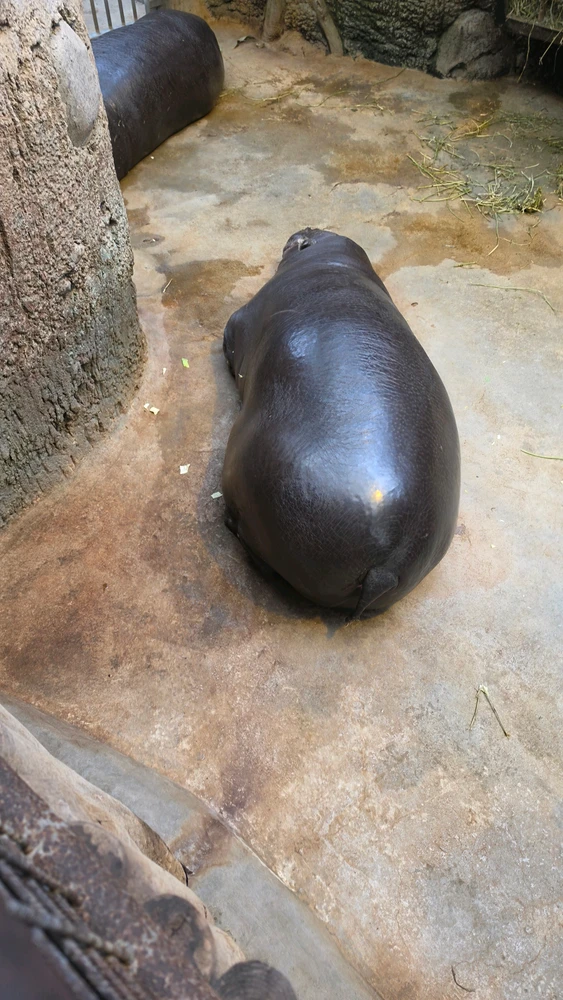 GIF ilipakiwa na George