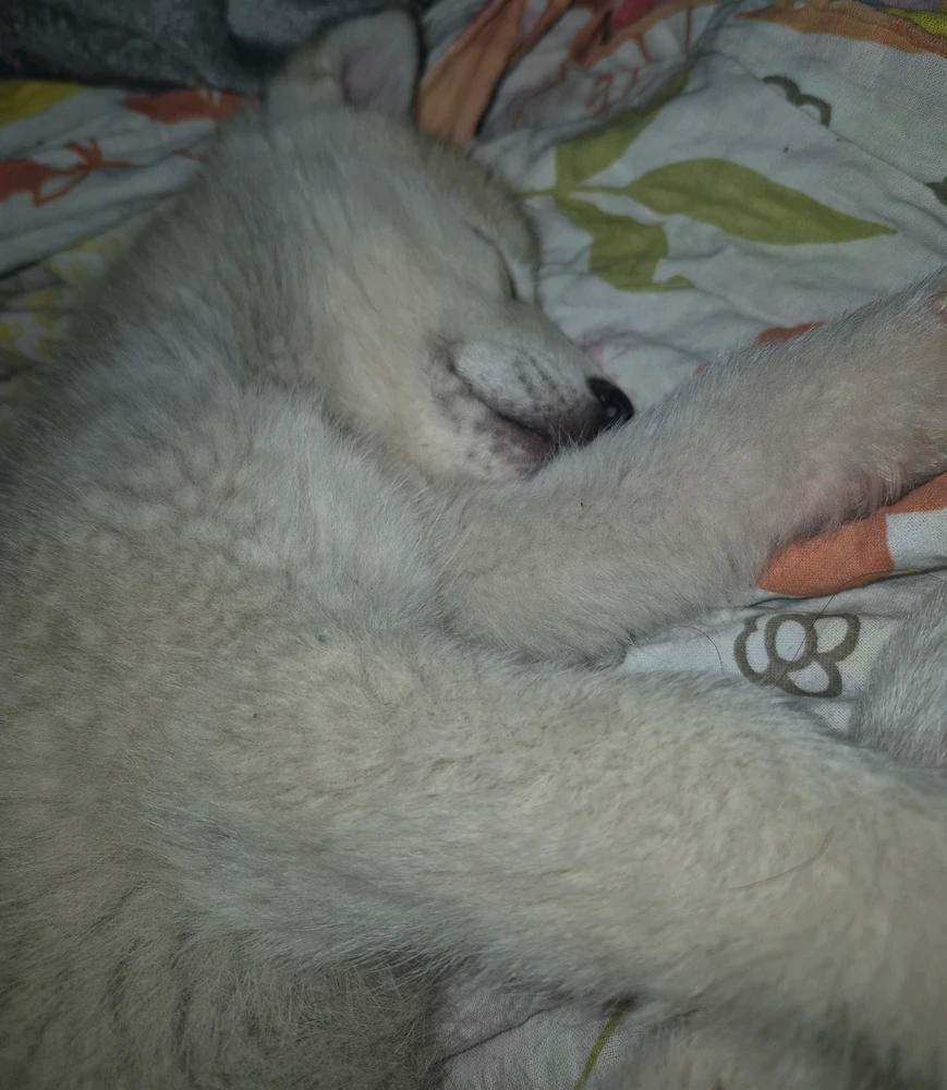 GIF uploaded by Nina