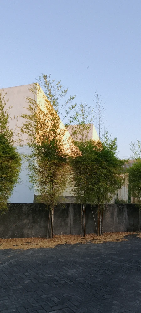 Image uploaded by Saff