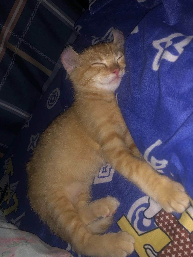 GIF uploadet af Angel