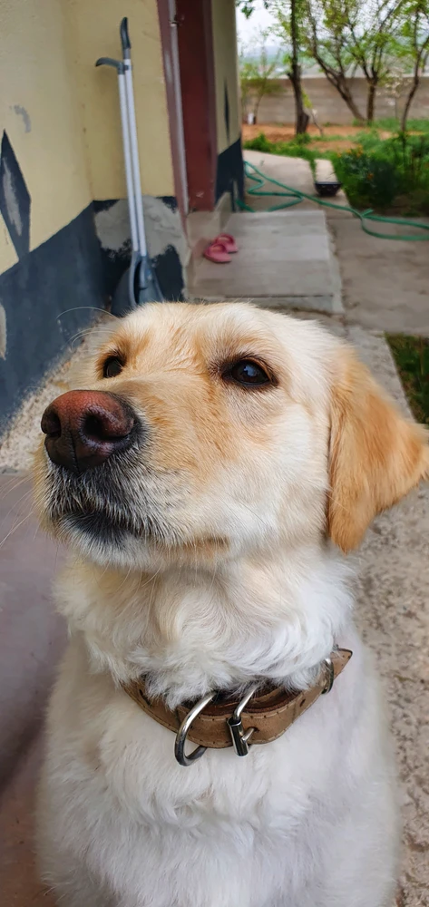GIF uploaded by Yt