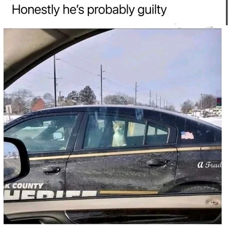GIF uploaded by Marcus