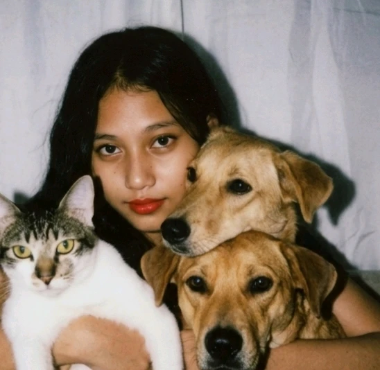 GIF uploaded by Maria Angelina