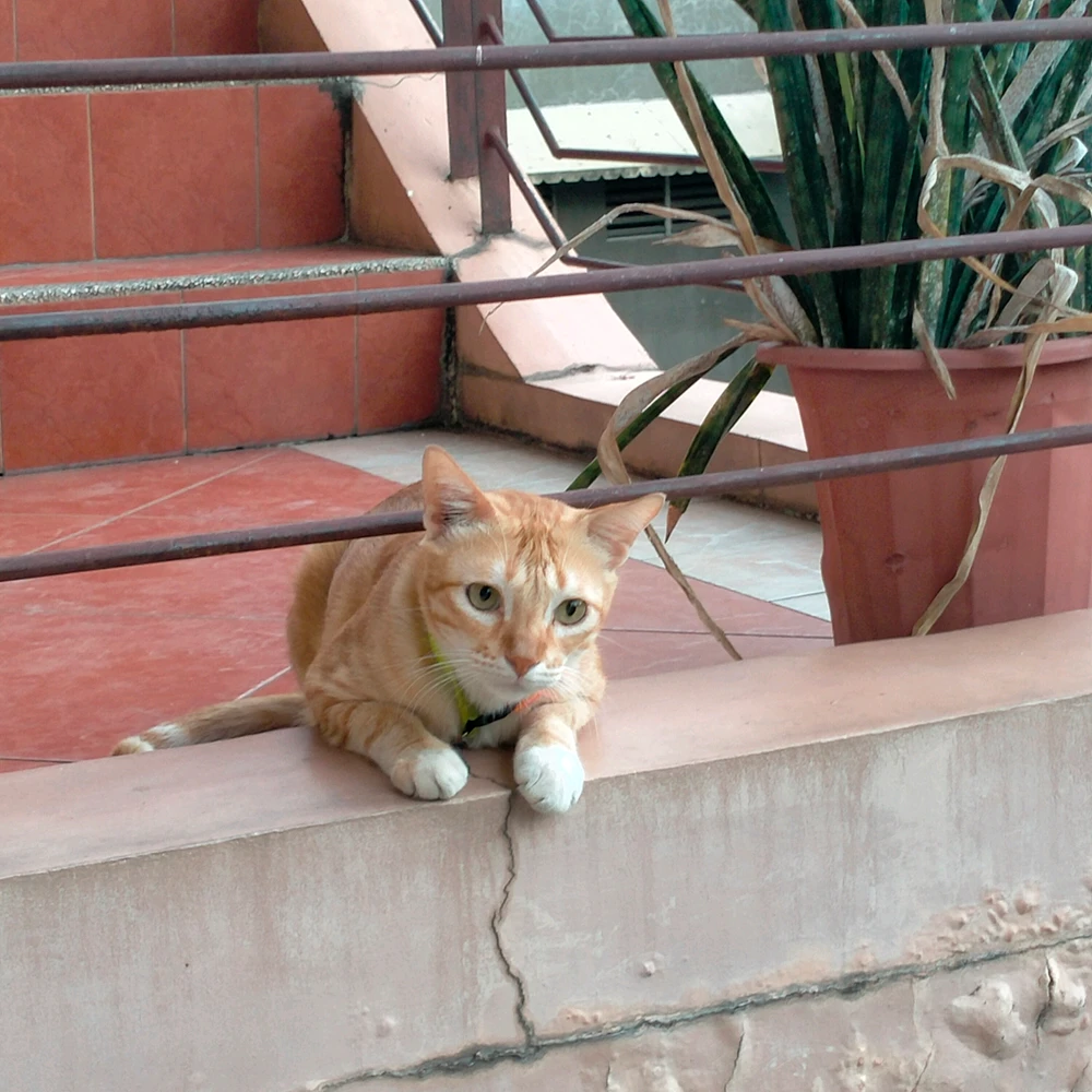 Image uploaded by Juuunneeeyy