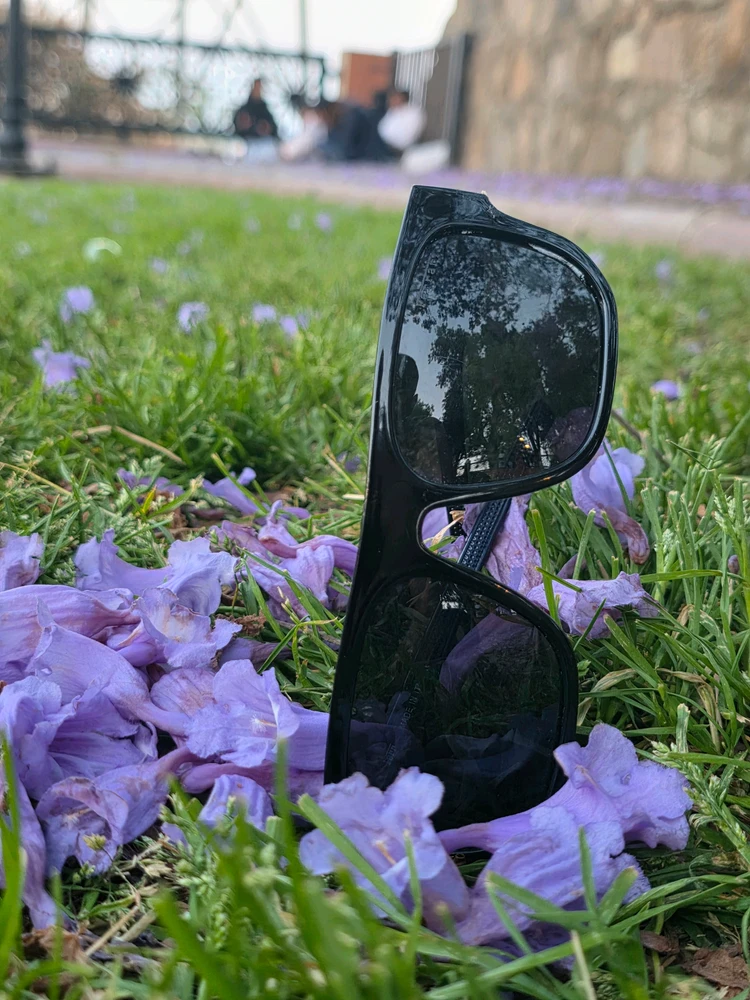 GIF uploaded by Wajeeh