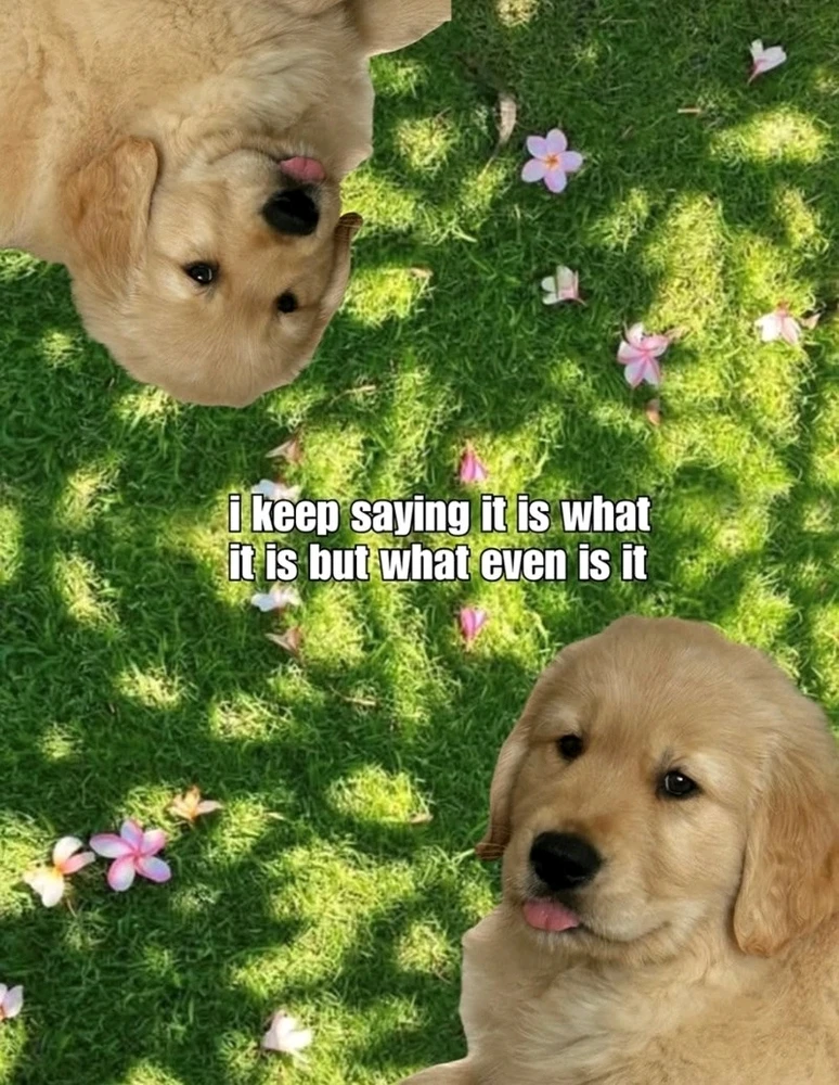 GIF uploaded by 《🌹.::Lenöré::.🌹》